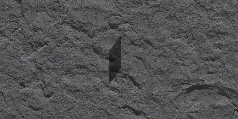 Untitled design (23)